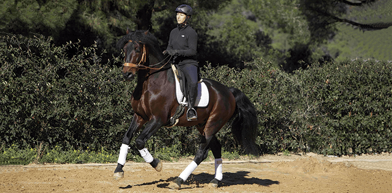 Horseway: “Queremos aportar bienestar a los caballos y a las personas, porque la sociedad necesita más conexión”